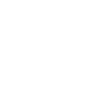 icon3