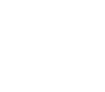 icon5