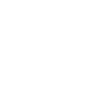 icon7